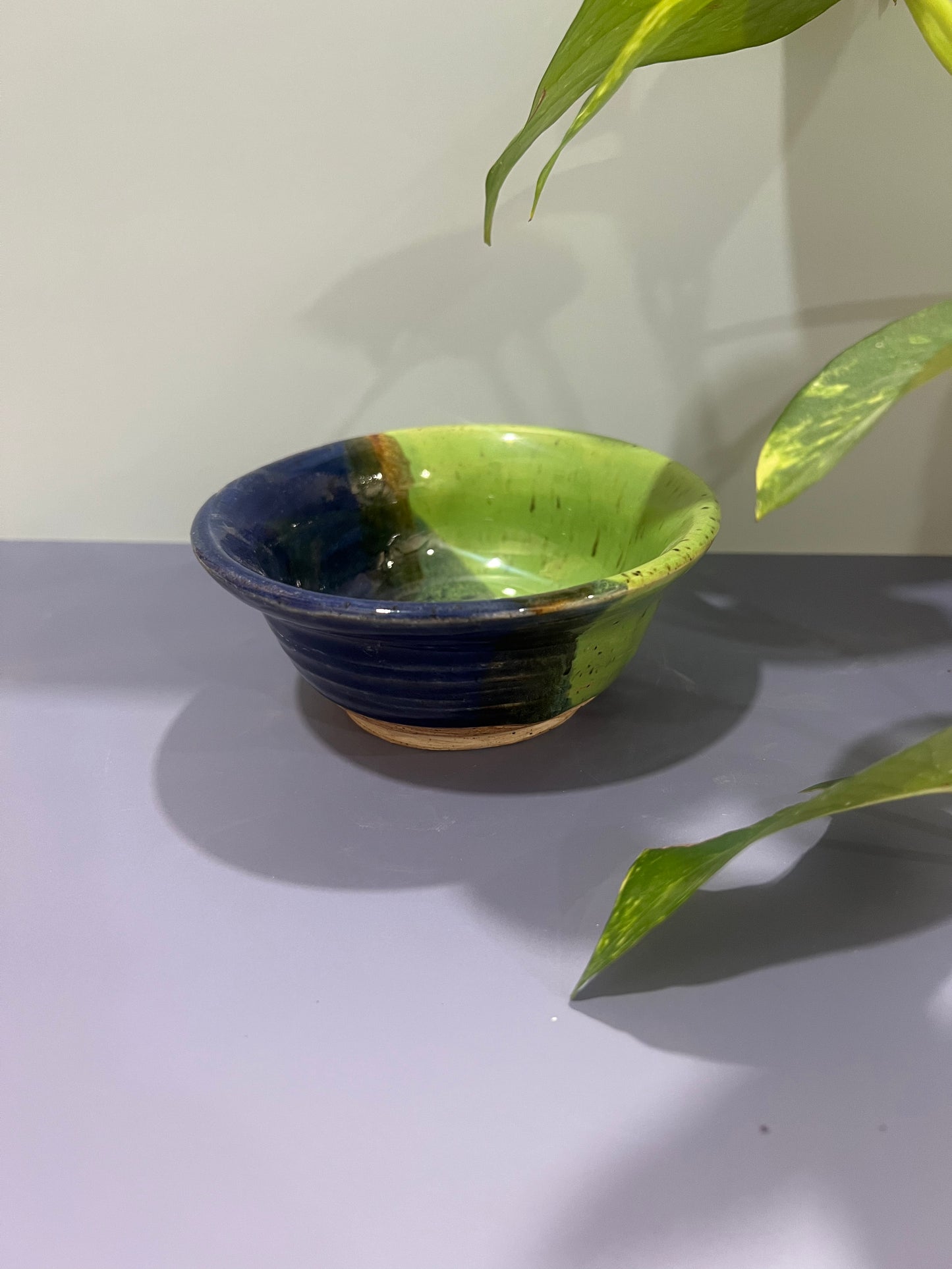 XS Bowl