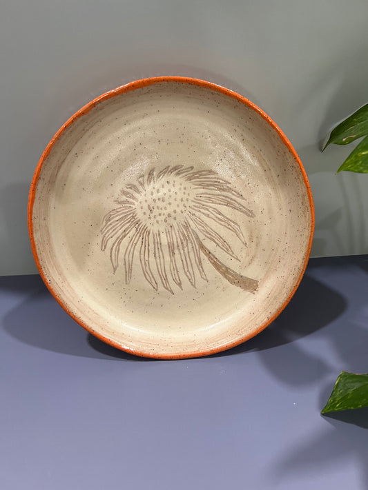 Plate Echinacea