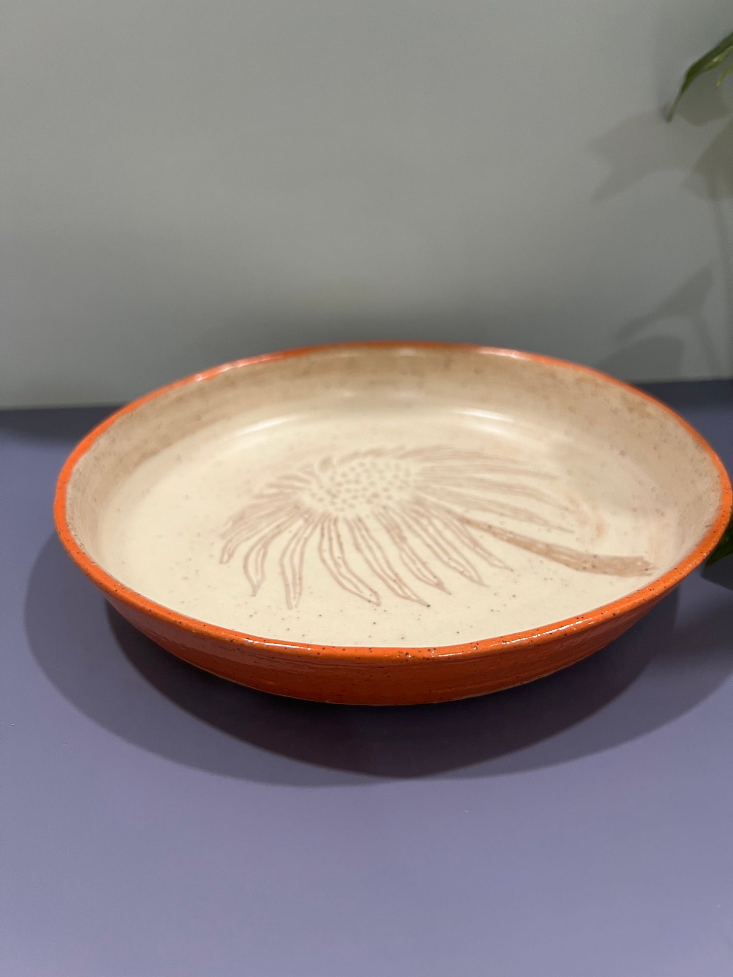 Plate Echinacea