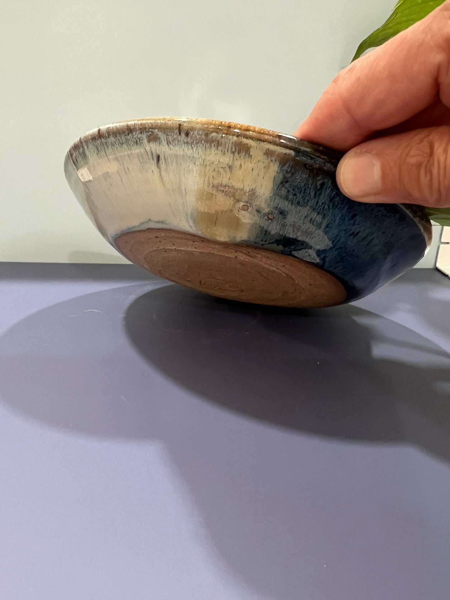 Pasta Bowl